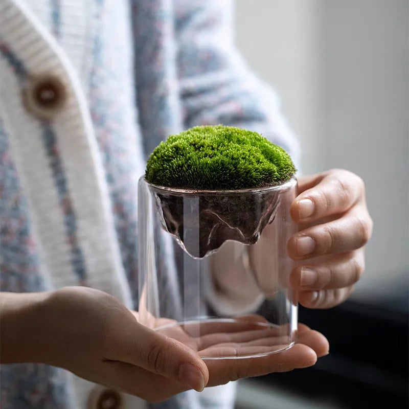 Kreative Bergförmige Moos Glasflasche Moosvase Hydrokultur Fleischige Mikro Landschaft Glas Terrarium Bonsai Wohnkultur