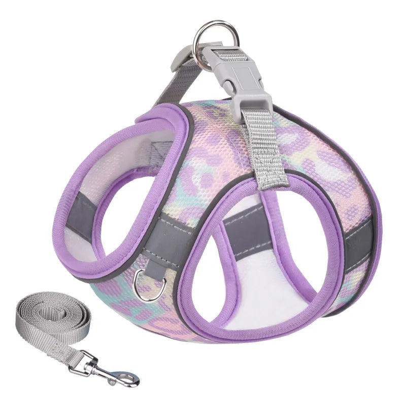 45171246366986|45171246399754|45171246432522