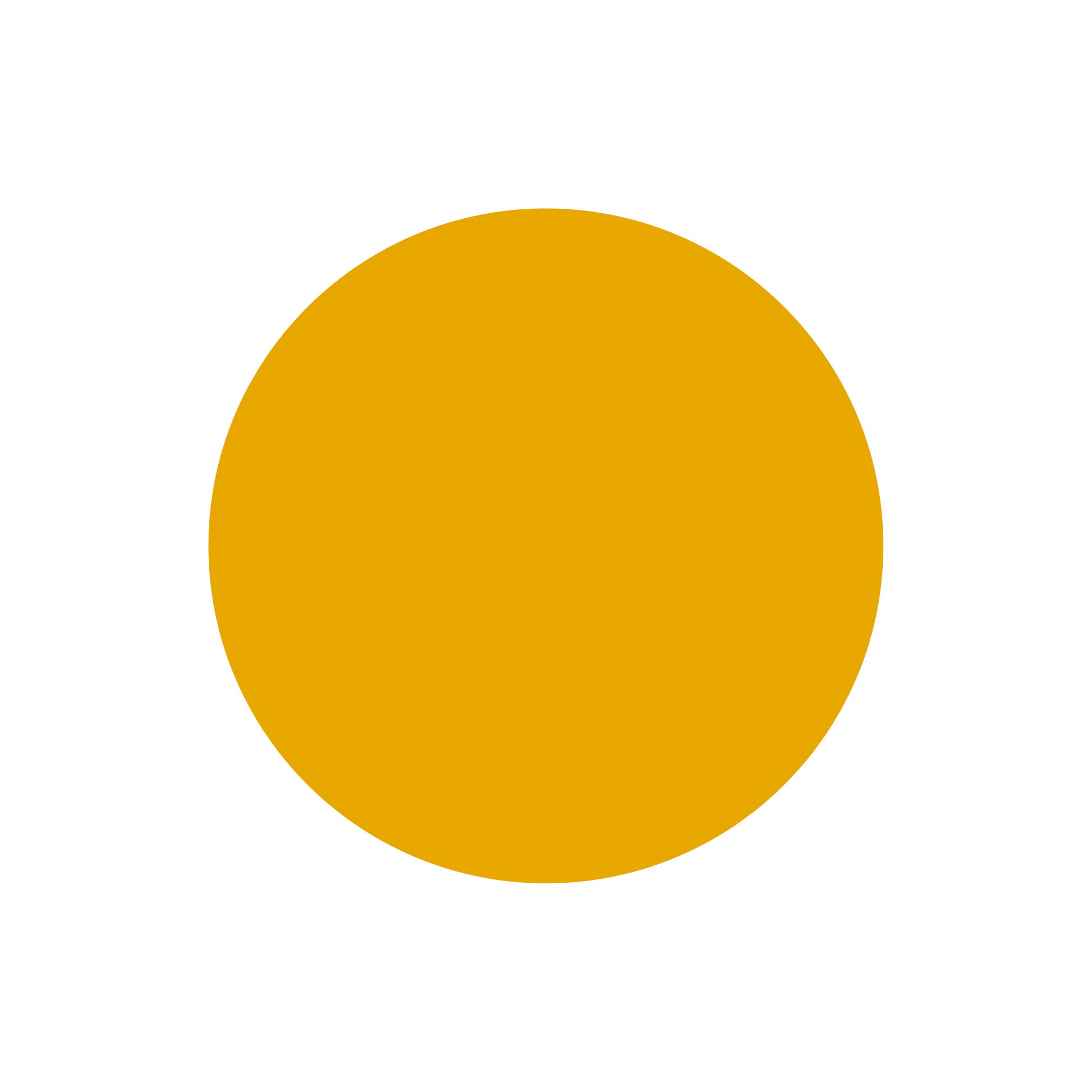 50250767073546|50250767139082|50250767171850