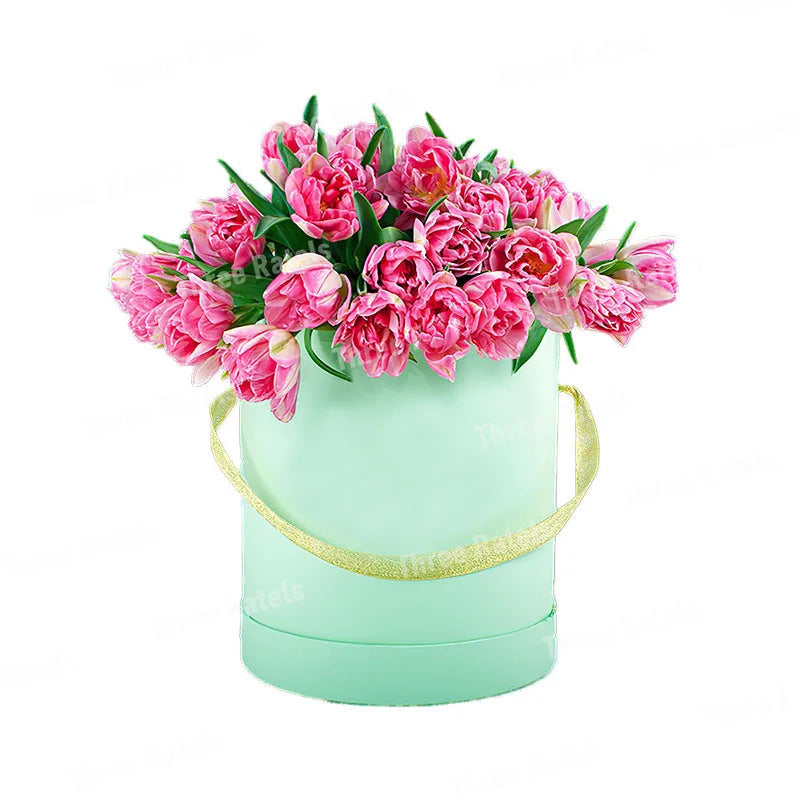 50307440935178|50307440967946|50307441000714|50307441033482|50307441066250