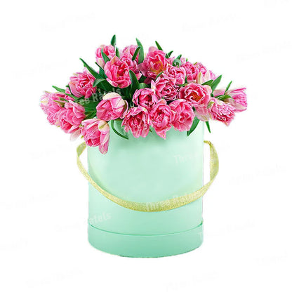 50307440935178|50307440967946|50307441000714|50307441033482|50307441066250