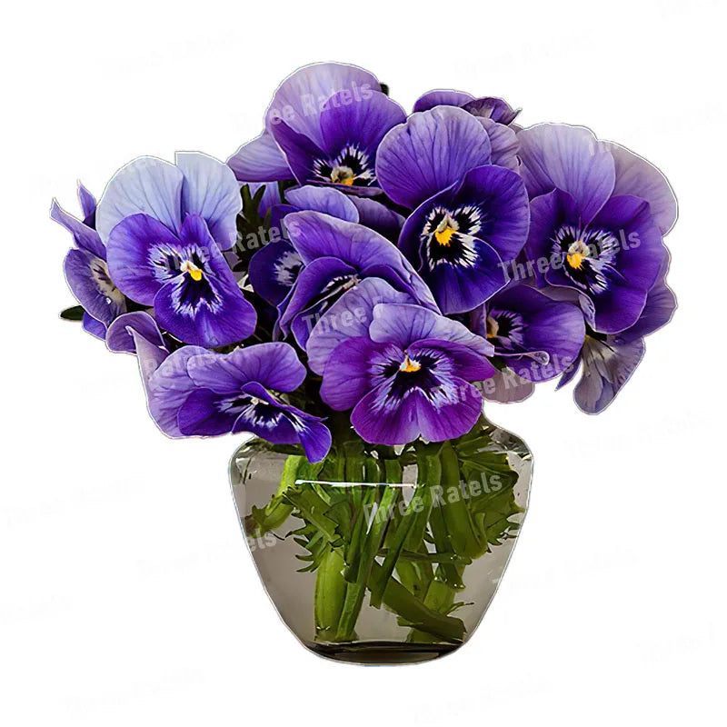 50307441525002|50307441557770|50307441590538|50307441623306|50307441656074