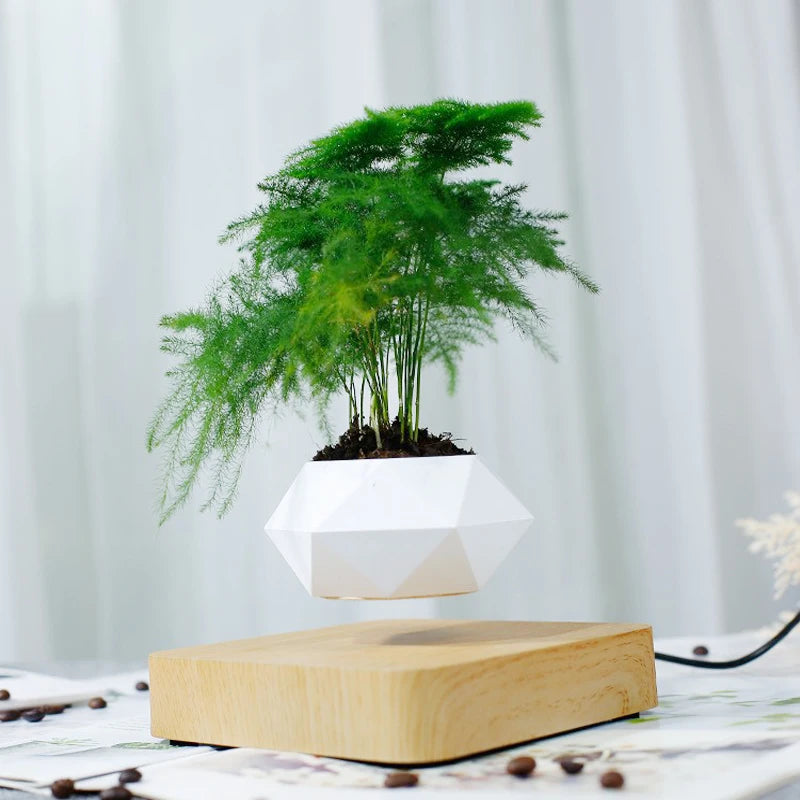 Schwebender Luft-Bonsai-Topf, rotierende Pflanzengefäße, magnetische Levitation, schwebender Blumentopf für Zierpflanzen, Schreibtischdekoration