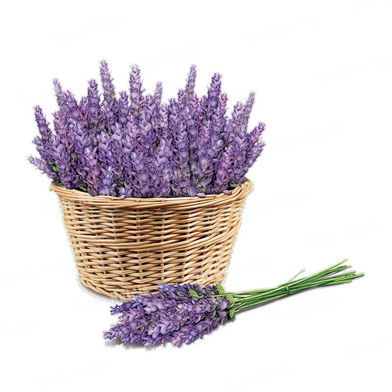 50307440902410|50307441295626|50307441328394|50307441361162|50307441393930