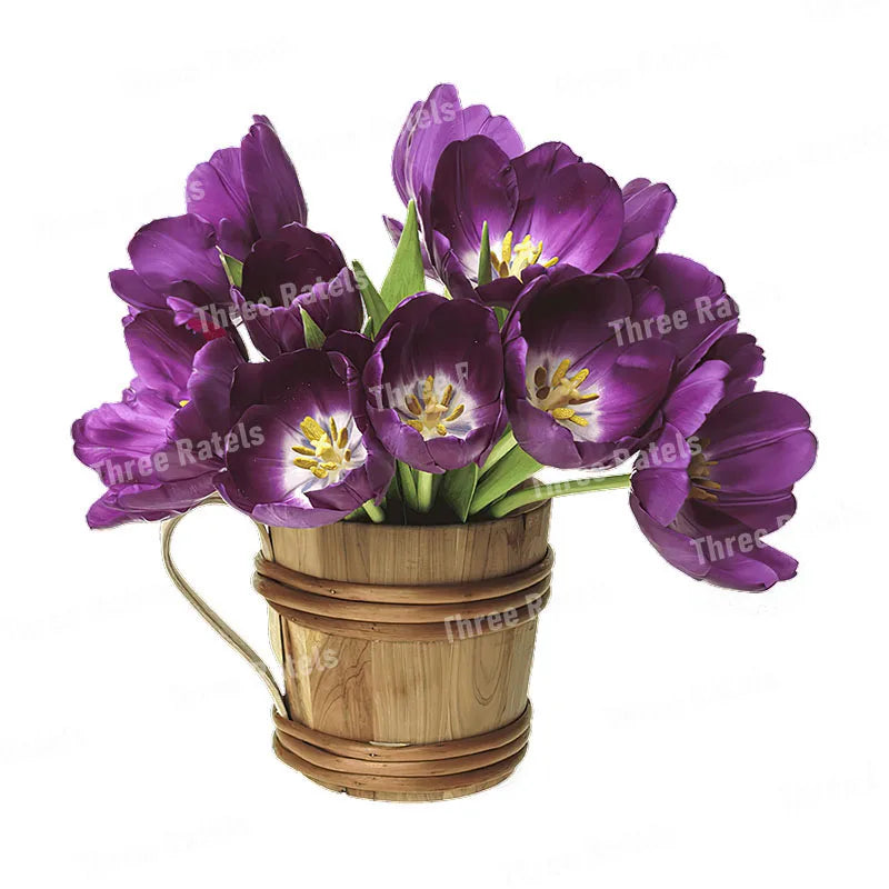 50307440443658|50307440476426|50307440509194|50307440541962|50307440574730