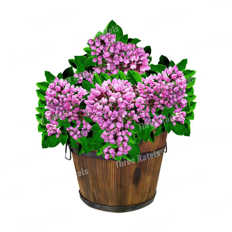 50307440640266|50307440673034|50307440705802|50307440738570|50307440771338