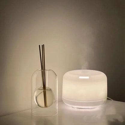 Aromatherapie-Vorratsbehälter Diffusorflasche Moderne Einfache Duftglas Schilf-Diffusor Ätherische Öl-Organizer Wohnkultur