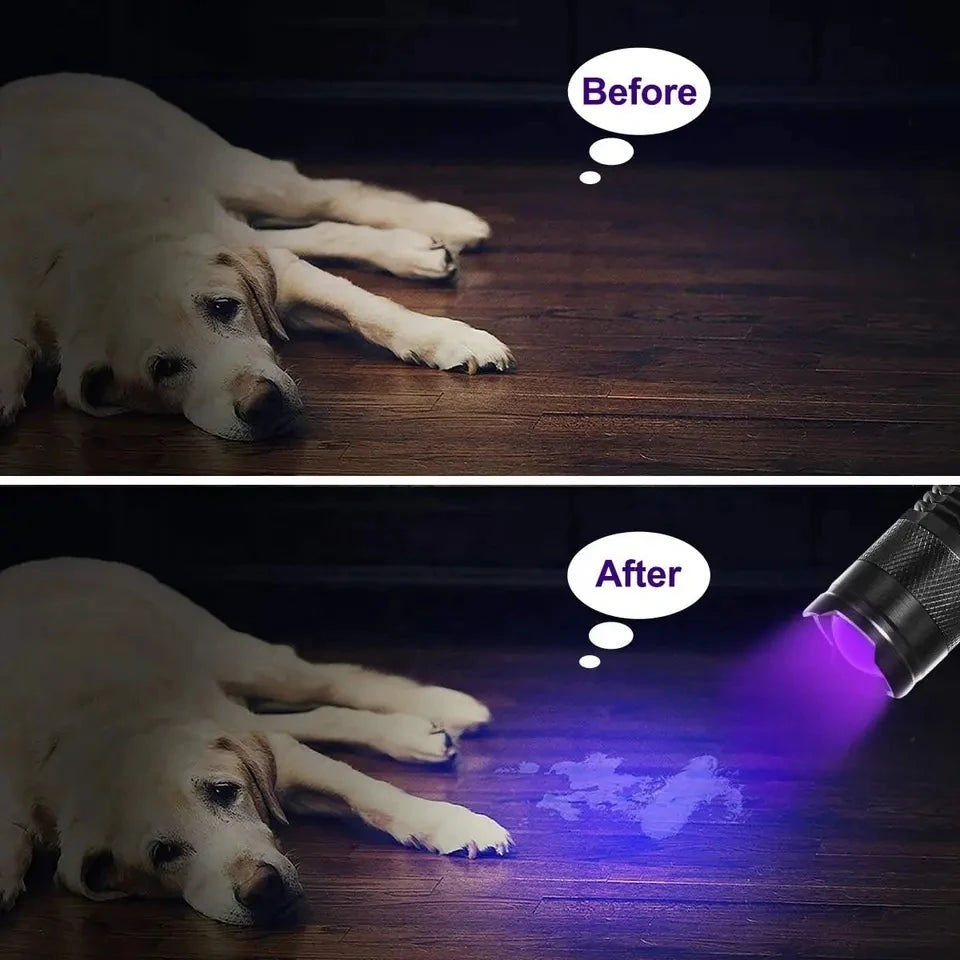 LED UV Taschenlampe 365/395nm Tragbares Mini Ultraviolett Fackel wasserdichtes Zoomierleuchte Pet Urin Skorpion Detektor UV -Lampe