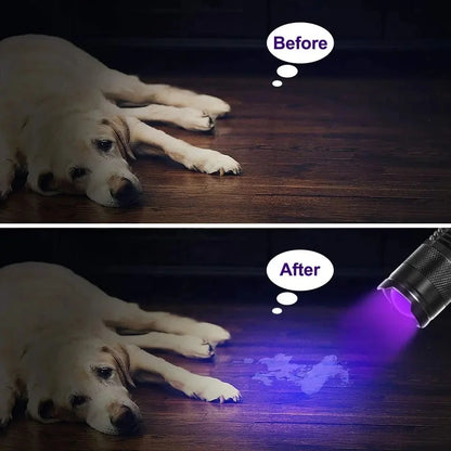 LED UV Taschenlampe 365/395nm Tragbares Mini Ultraviolett Fackel wasserdichtes Zoomierleuchte Pet Urin Skorpion Detektor UV -Lampe