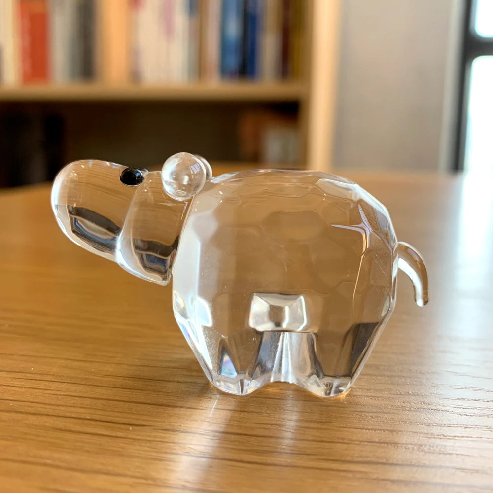 50307037298954