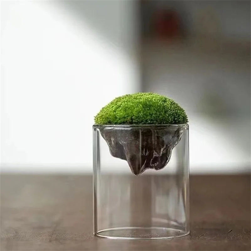 Kreative Bergförmige Moos Glasflasche Moosvase Hydrokultur Fleischige Mikro Landschaft Glas Terrarium Bonsai Wohnkultur