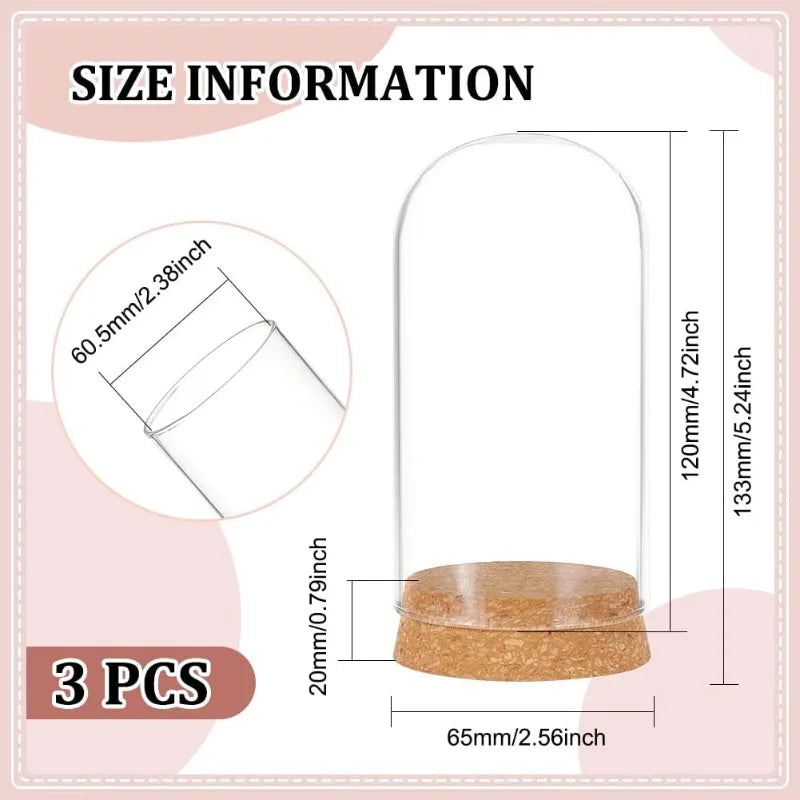 3 Set Kuppel Display Glas Glas mit Kork 65x133mm Glocke Cloche Glas Dekoration Etui für Blumen Pflanzen Exemplare Handwerk Dekorationen