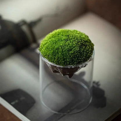 Kreative Bergförmige Moos Glasflasche Moosvase Hydrokultur Fleischige Mikro Landschaft Glas Terrarium Bonsai Wohnkultur