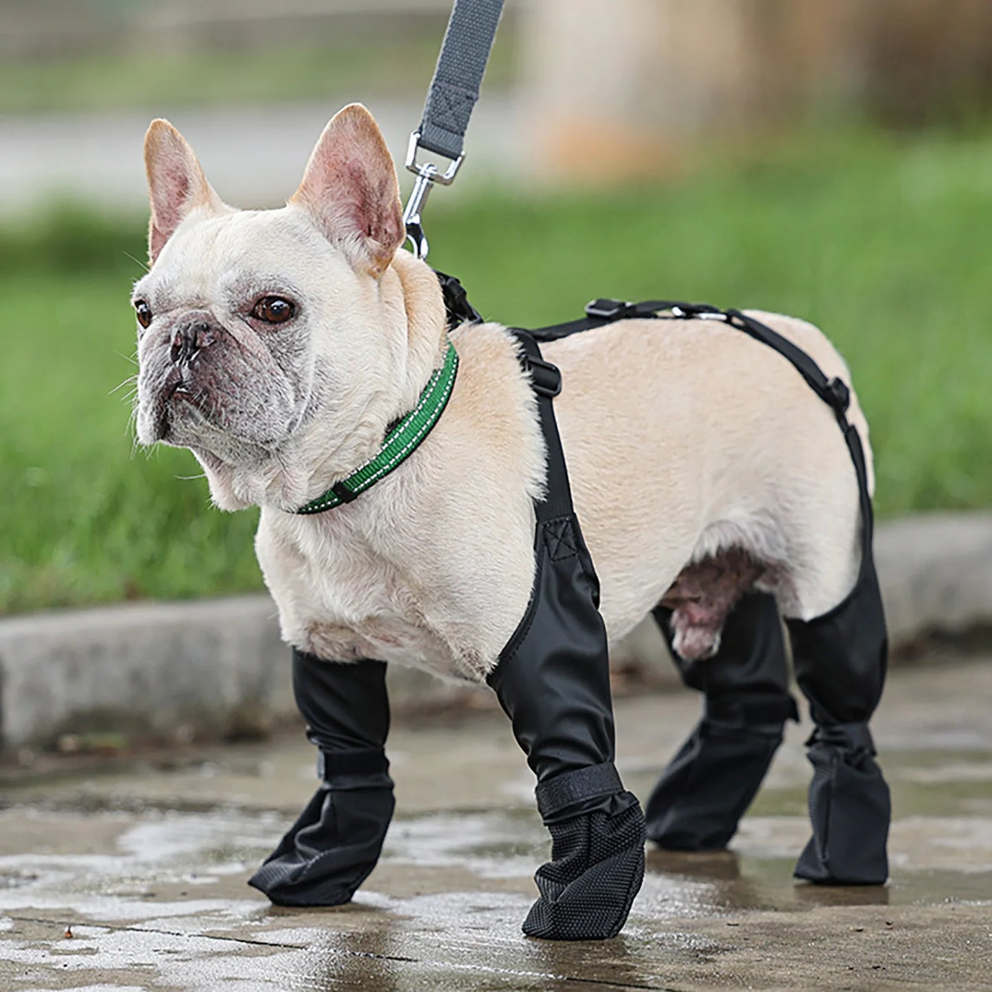 Verstellbare schützende Allwetter-Hundehose Hundepfotenschutz mit Zusatzriemen schützt vor Winterkälte für Hunde