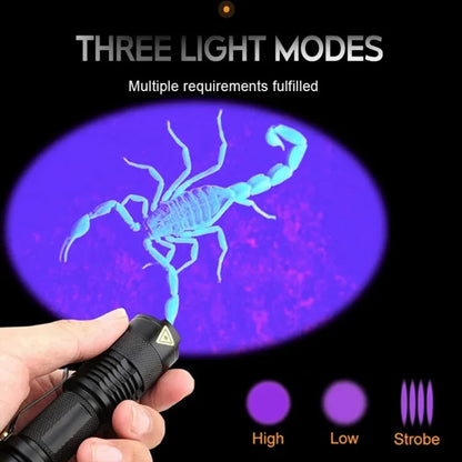 LED UV Taschenlampe 365/395nm Tragbares Mini Ultraviolett Fackel wasserdichtes Zoomierleuchte Pet Urin Skorpion Detektor UV -Lampe