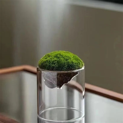 Kreative Bergförmige Moos Glasflasche Moosvase Hydrokultur Fleischige Mikro Landschaft Glas Terrarium Bonsai Wohnkultur