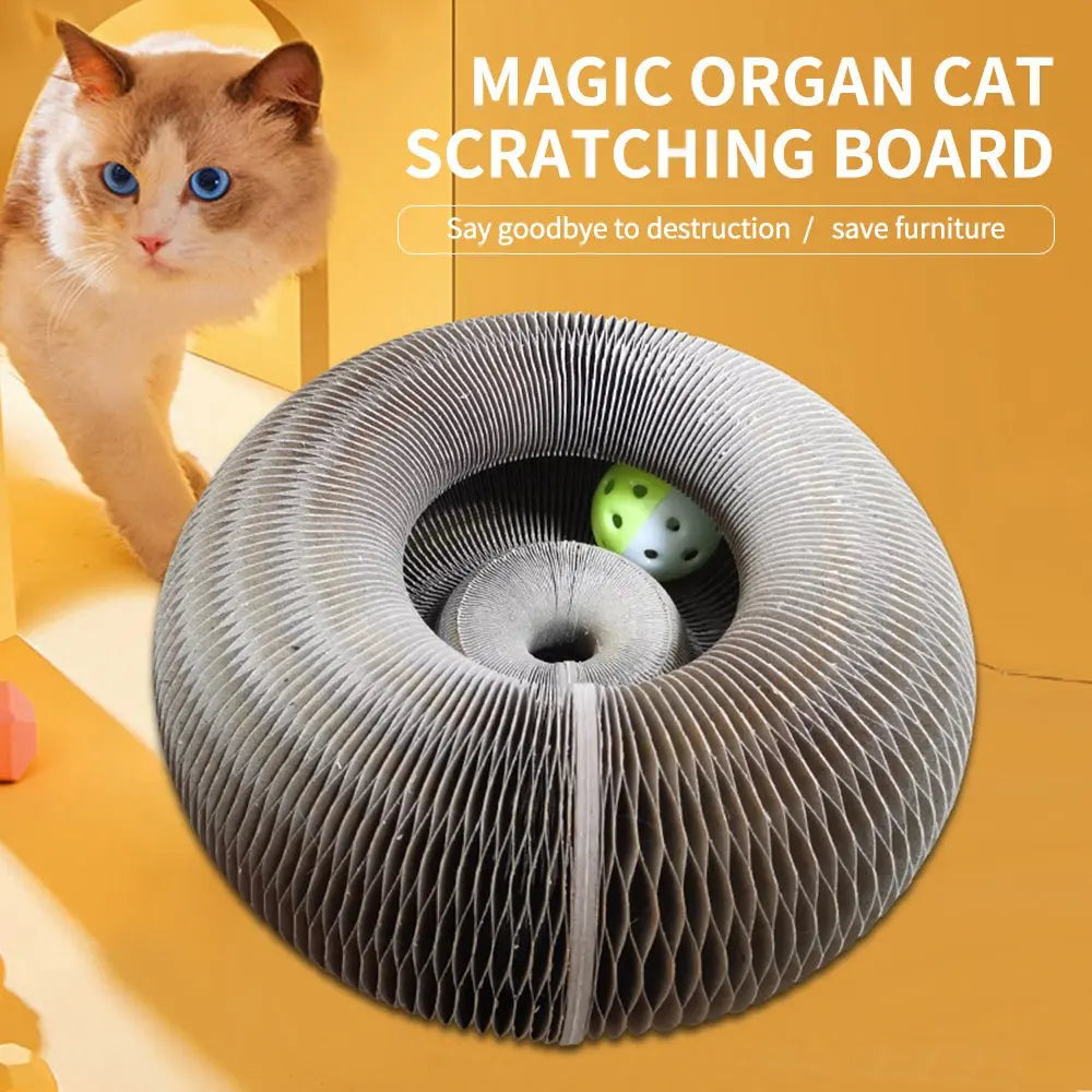 Magic-Orgel-faltbares-Katzen-Kratzbrett-Spielzeug-mit-Glocke-Cat-Grinding-Claw-Cat-Climbing-Frame-Round-Wellpappe-Cats-Interactive-Toys