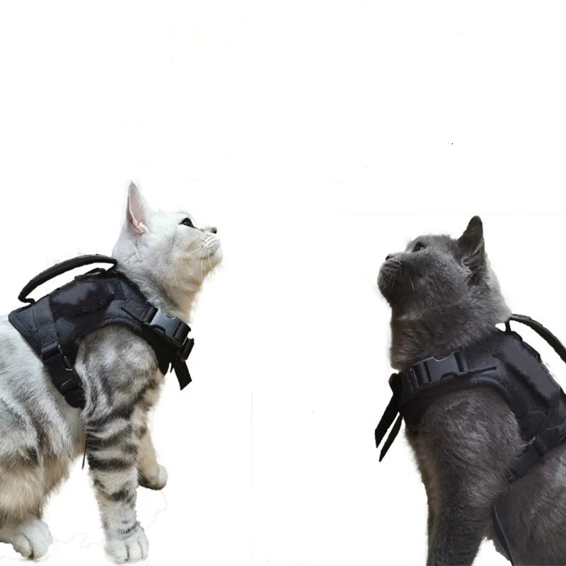 Tactical-Cat-Harness-Small-Dog-Collar-Adjustable-600D-Nylon-Pet-Traction-Kitten-Escape-Proof-Cat-Weste-Pet-Cat-Harness-Gürtel