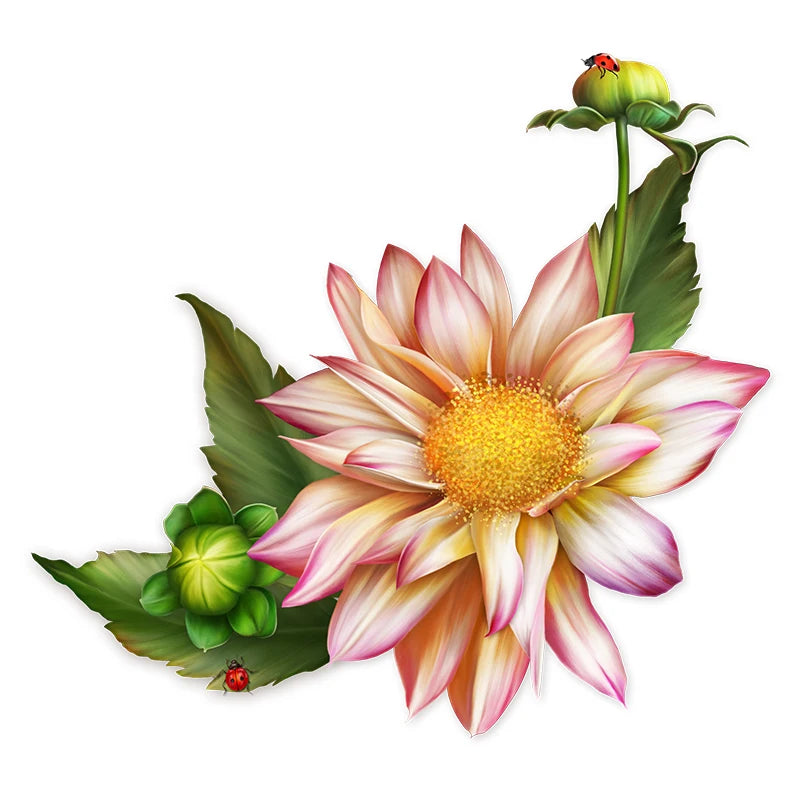 45610631004426|45610631037194|45610631069962