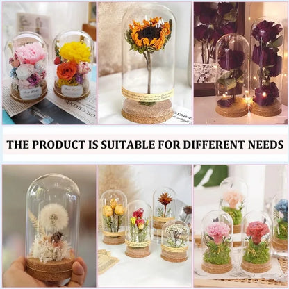 3 Set Kuppel Display Glas Glas mit Kork 65x133mm Glocke Cloche Glas Dekoration Etui für Blumen Pflanzen Exemplare Handwerk Dekorationen