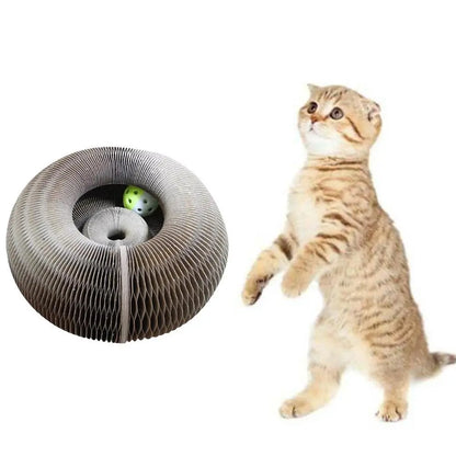 Magic-Orgel-faltbares-Katzen-Kratzbrett-Spielzeug-mit-Glocke-Cat-Grinding-Claw-Cat-Climbing-Frame-Round-Wellpappe-Cats-Interactive-Toys