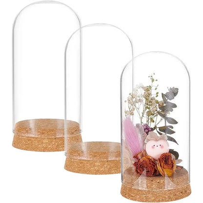 3 Set Kuppel Display Glas Glas mit Kork 65x133mm Glocke Cloche Glas Dekoration Etui für Blumen Pflanzen Exemplare Handwerk Dekorationen