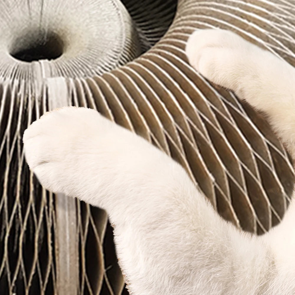 Magic-Orgel-faltbares-Katzen-Kratzbrett-Spielzeug-mit-Glocke-Cat-Grinding-Claw-Cat-Climbing-Frame-Round-Wellpappe-Cats-Interactive-Toys