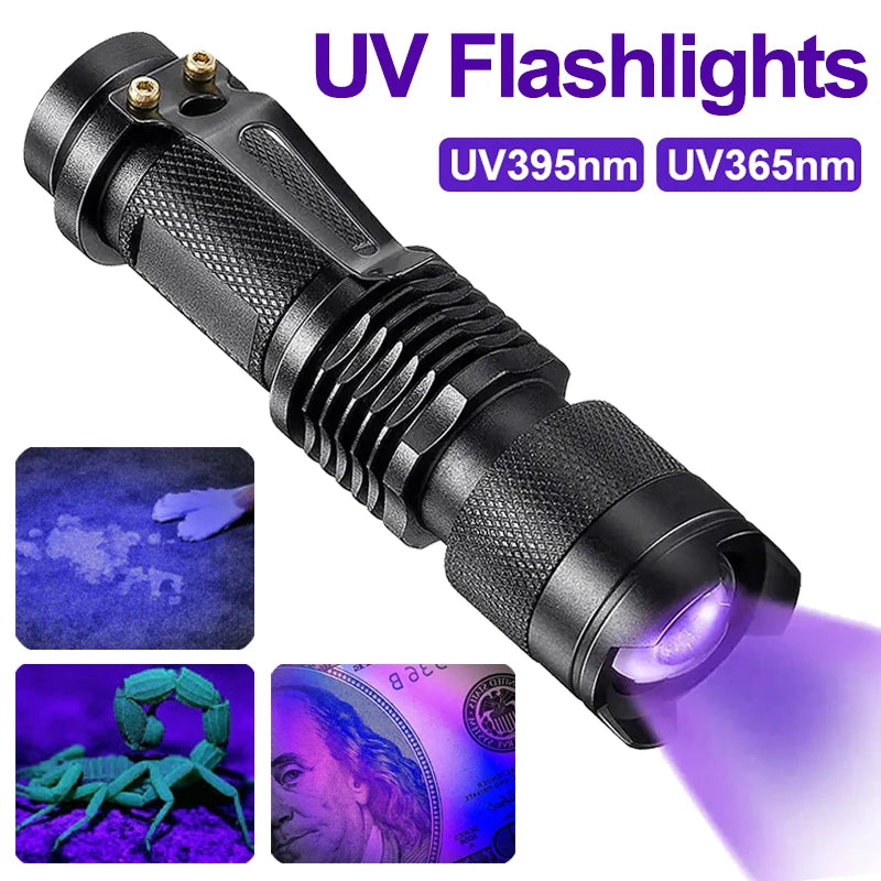 LED UV Taschenlampe 365/395nm Tragbares Mini Ultraviolett Fackel wasserdichtes Zoomierleuchte Pet Urin Skorpion Detektor UV -Lampe