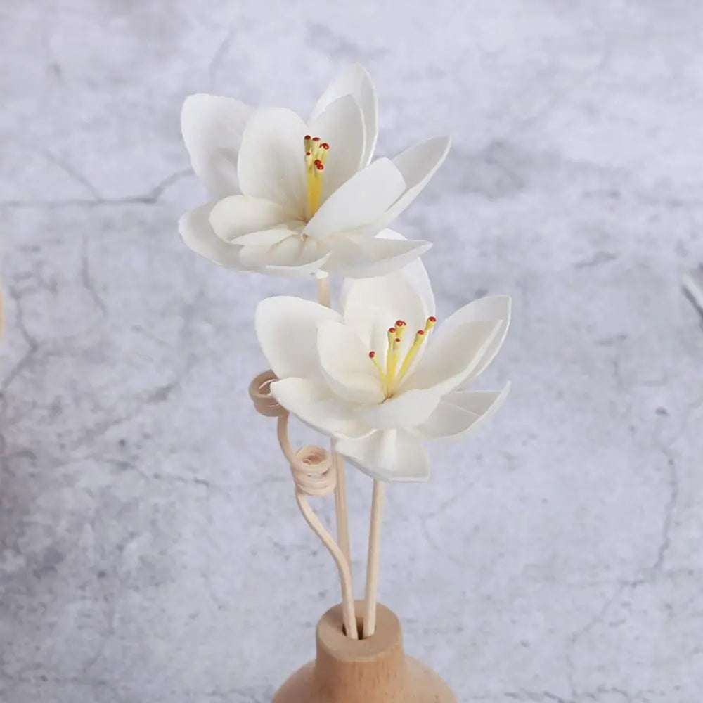 Lasting 5cm for Home Aromatherapy Natural Handmade Fragrance Tongcao Flower Aromatic Incense Diffuser Sticks Dried Flowers – Handgemachte Aromatherapie-Räucherstäbchen aus natürlichen Tongcao-Blumen, ideal für die Raumd