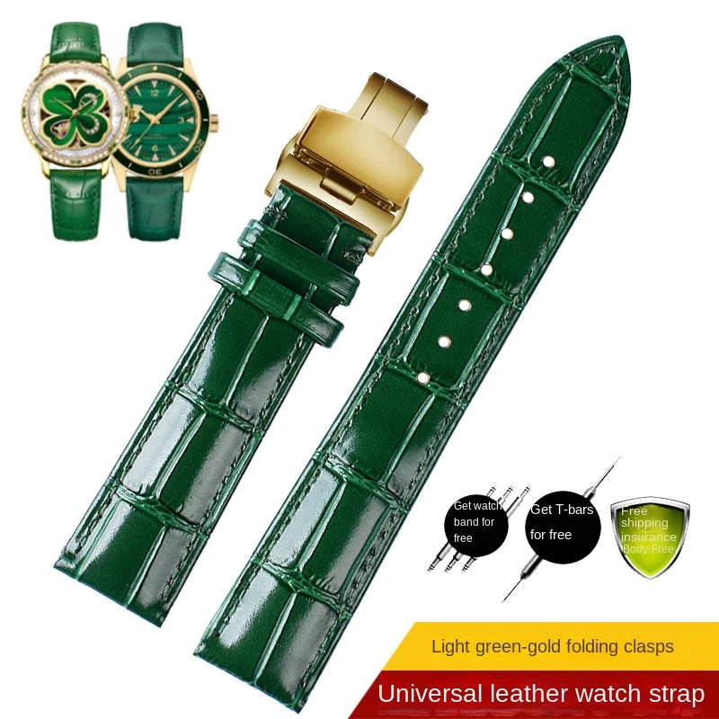 50301324656906|50301325213962|50301325771018|50301326131466