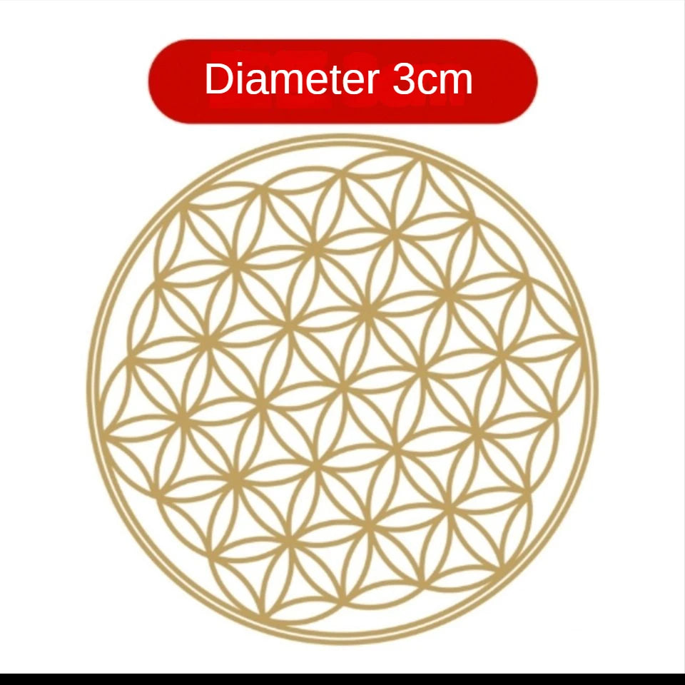50307438543114|50307438575882|50307438608650