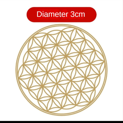 50307438543114|50307438575882|50307438608650