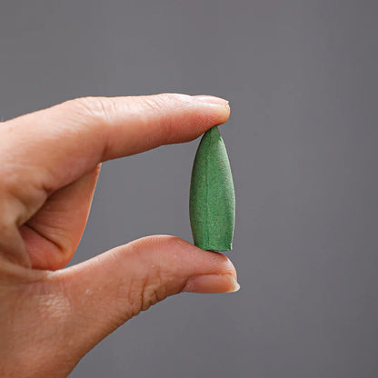 20/100 große und kleine Räucherperlen, gemischte Packung aus natürlichem Sandelholz für den Innenbereich, Klippen- und Zypressen-Wermut, dauerhafte Badedesodorierung, mit Räuchergefäß