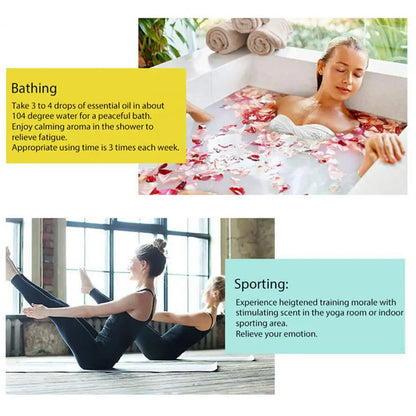 Natürliche Pflanzen Ätherisches Öl Orange Pfefferminze Eukalyptus Zypresse Kiefernnadeln Mandarine Fenchel Duftöl für die Aromatherapie