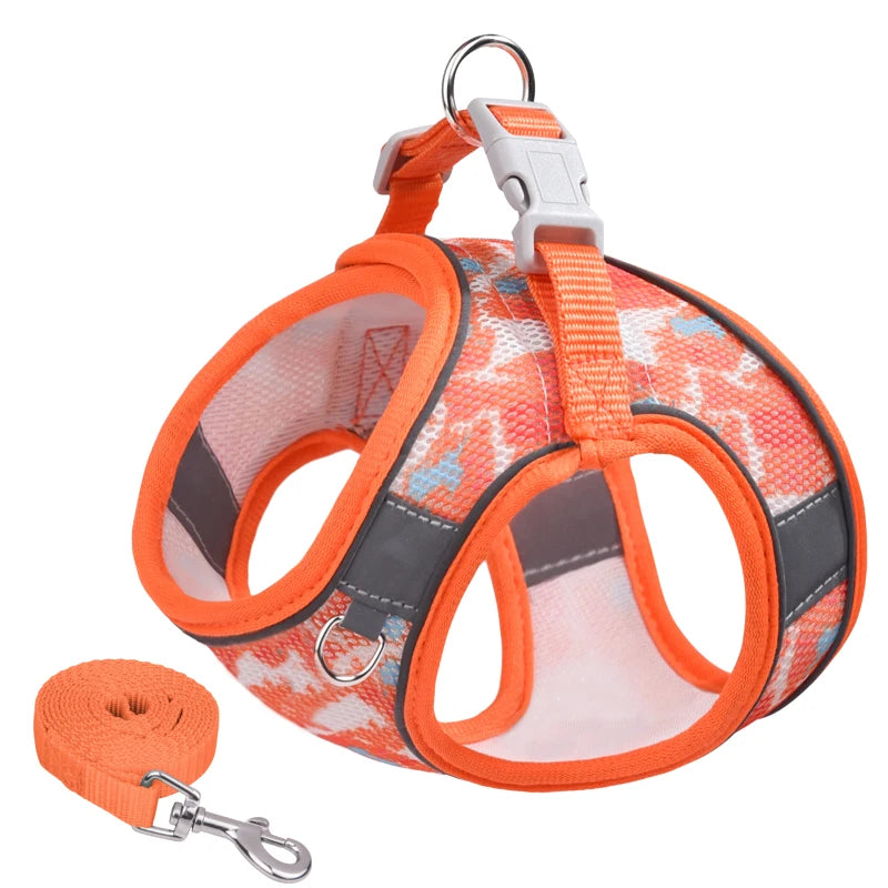 45171246072074|45171246104842|45171246137610