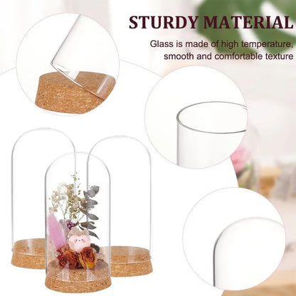 3 Set Kuppel Display Glas Glas mit Kork 65x133mm Glocke Cloche Glas Dekoration Etui für Blumen Pflanzen Exemplare Handwerk Dekorationen