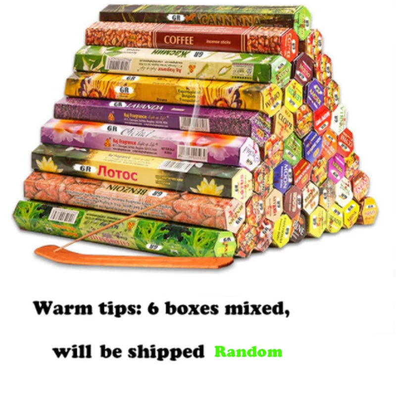 50322019975434|50322020860170